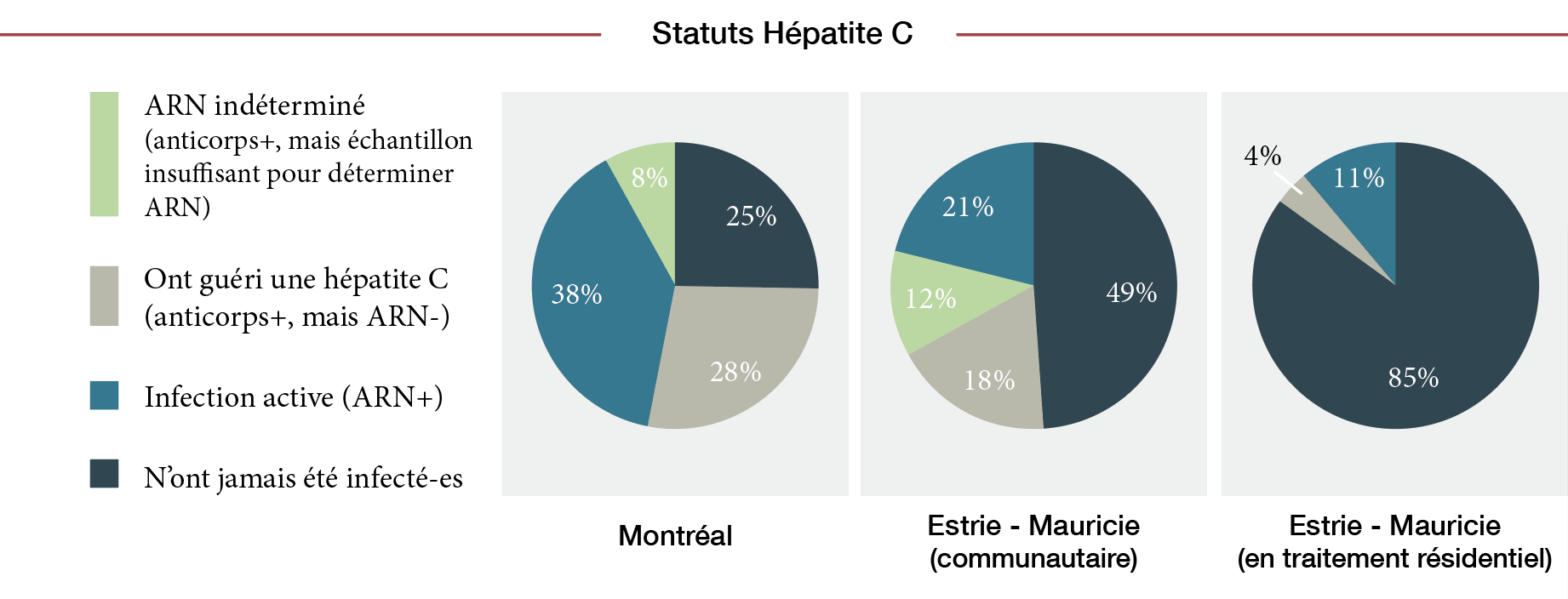 diagrammes-circulaires-statuts-hepatite-c
